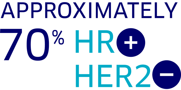 Approximately 70% have HR+, HER2–
